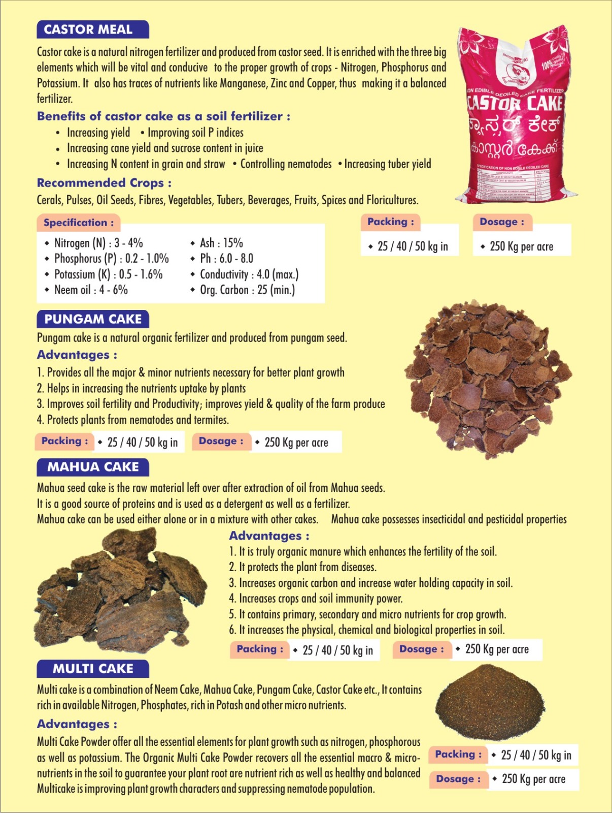BROCHURE 4